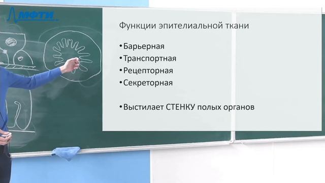 Биология клетки, Носов Г. А. 20.04.2021г. смотреть онлайн