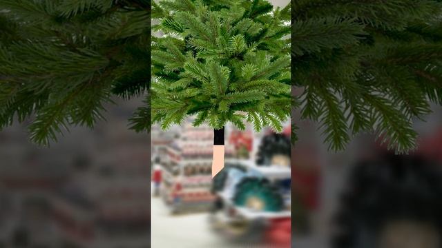 Как дольше сохранить ёлку смотреть онлайн