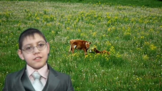 Ученик 4 класса Кочетков Валерий размышляет о Родине смотреть онлайн