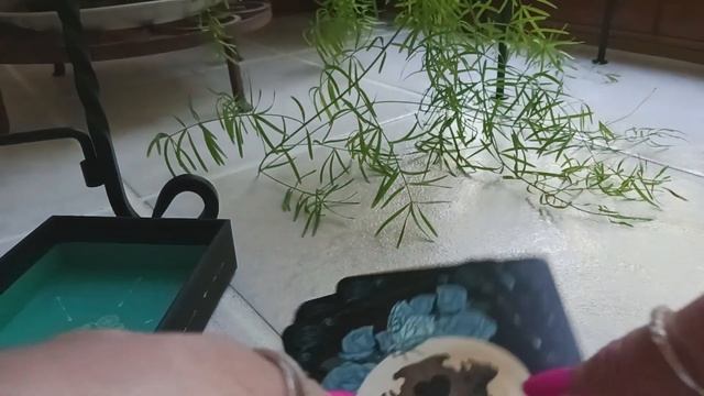 EARTH & BONE ORACLE * NEW RELEASE * Review, Unboxing, Full Flip Through смотреть онлайн