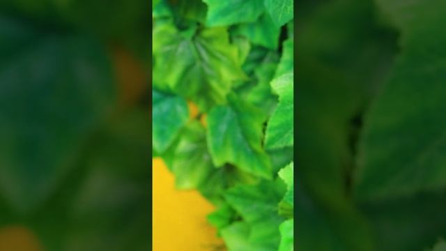 Мы построили трёхэтажную кровать #shorts #building #DIY смотреть онлайн