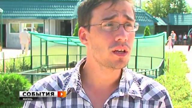 Как спасти стрижа, потерявшего высоту?