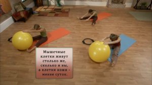 Занятие 17 «Пилатес изнутри» с Карен Картер на русском(все серии) | Домашний пилатес видео
