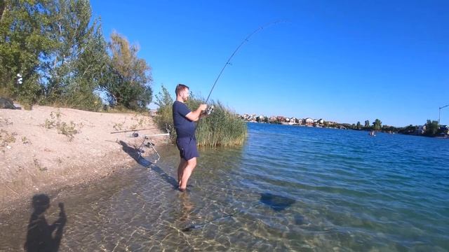 Как поймать Карпа монстра