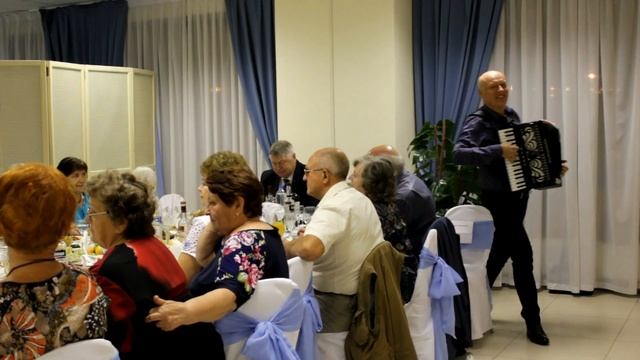 Застольные песни под аккордеон. Потолок ледяной на юбилее.