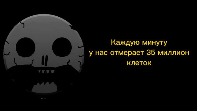 Ты услышал этот факт: (2 часть) смотреть онлайн