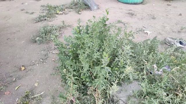 Казахстан Караганда Майкудук 15 микрорайон Видео прогулка часть 3.