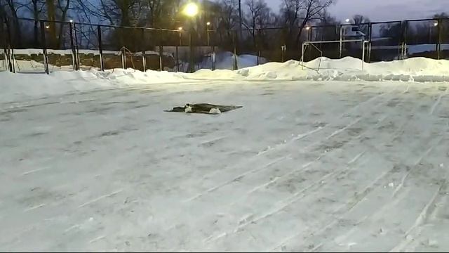 Подготовка к соревнованиям БАС смотреть онлайн