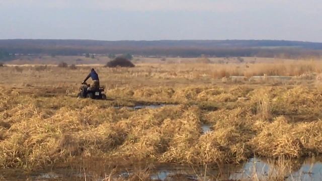Квадроцикл Bashan 150. Внедорожье+вода! смотреть онлайн