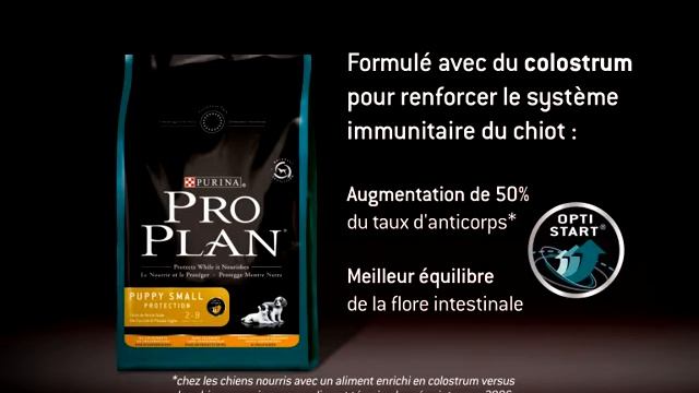 proplan small breed смотреть онлайн