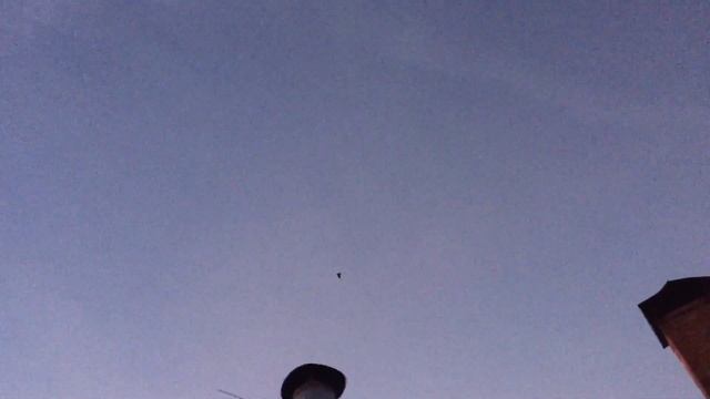 #Pigeons.Как паровать голубей. смотреть онлайн
