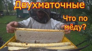 ДВУХМАТОЧНЫЕ! ЧТО по МЁДУ! Снимаем магазины