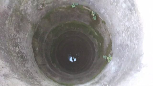 Идём играть в прятки! смотреть онлайн