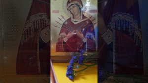 Акафист Пресвятой Богородице перед иконой Ея "Умягчение злых сердец"