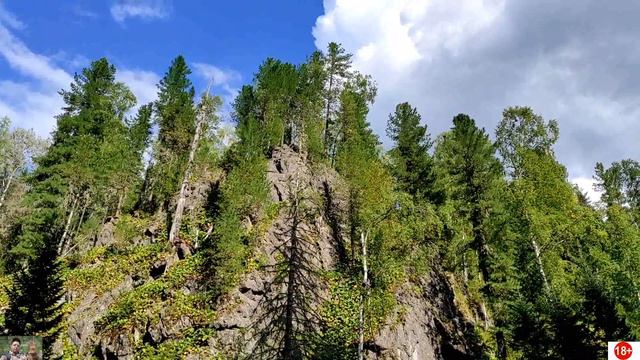 В поисках Хариуса Лебедь 2022 смотреть онлайн