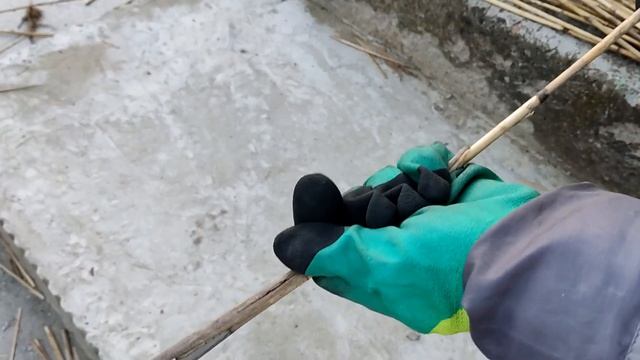 Забор из камыша тростника рогоза СВОИМИ РУКАМИ декор сетки рабицы смотреть онлайн