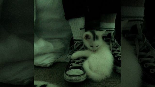 дай мне собраться.всмысле я не могу! (Sped up) смотреть онлайн