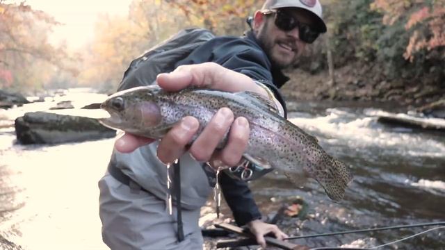 Returning to the TROPHY TROUT WATERS of Cherokee, NC смотреть онлайн