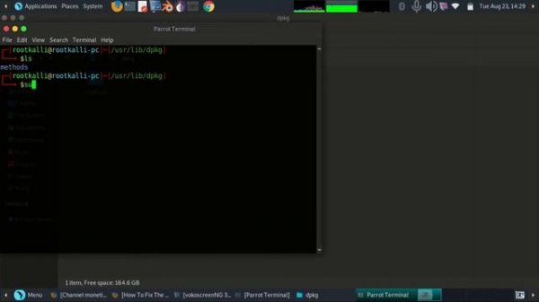 Linux Lock Error Removing| Could not get lock /var/lib/dpkg/lock-frontend