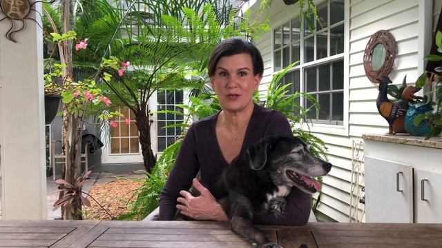 How CBD got rid of this dogs tumor in 30 days! смотреть онлайн
