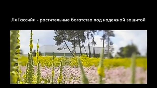 Ля Гассийи колыбель Ив Роше смотреть онлайн