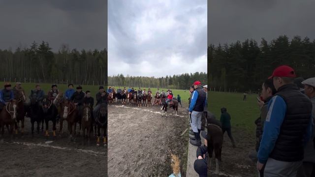Аламан Улак 🔥 АПАЧИ🐎 смотреть онлайн