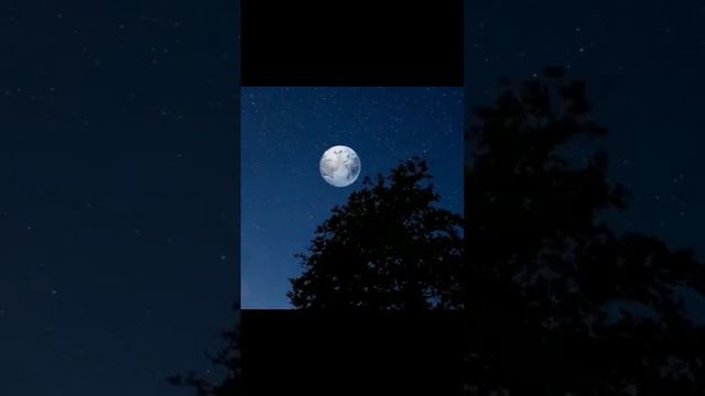 что бы произошло с землёй, если бы вместо луны были другие планеты смотреть онлайн
