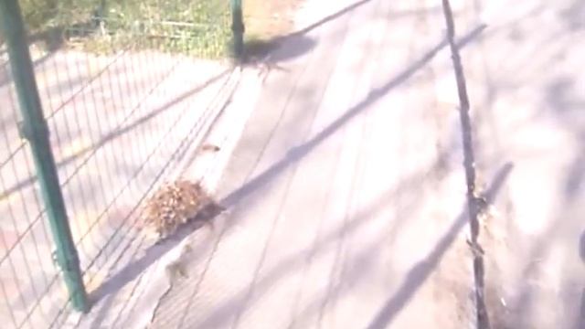 детские площадки под проезжей дорогой смотреть онлайн