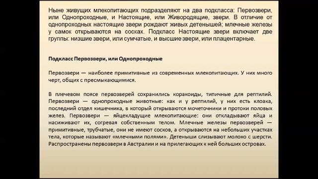 Происхождение и многообразие млекопитающих. Биология 7 класс. смотреть онлайн