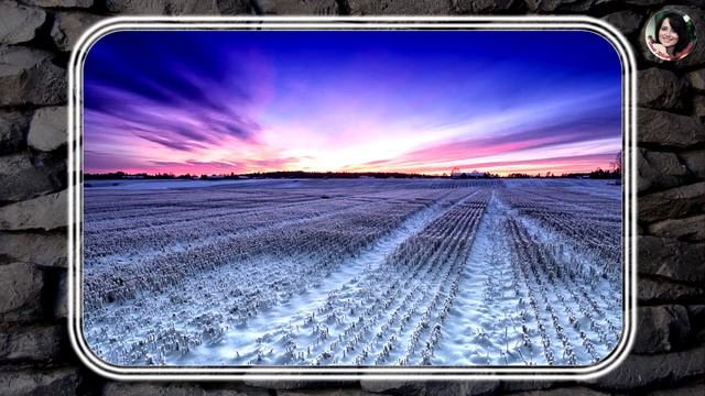 Руководство по Саморазвитию