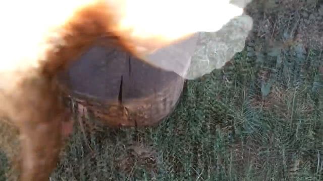 Как зарубить курицу. Лайфхак. смотреть онлайн