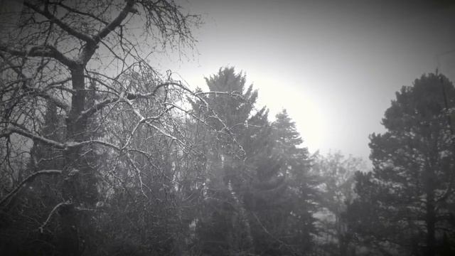 Dieter Kleber - Yamaha PSR-S950 - Snowfall - Chill Out смотреть онлайн