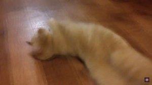 топ 5 женских ароматов для работы в офисе категории люкс