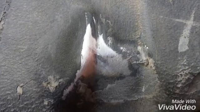 Жизнь в новом воплощении