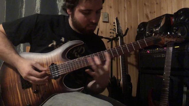Sylosis Kingdom Of Solitude (Solo Cover) смотреть онлайн