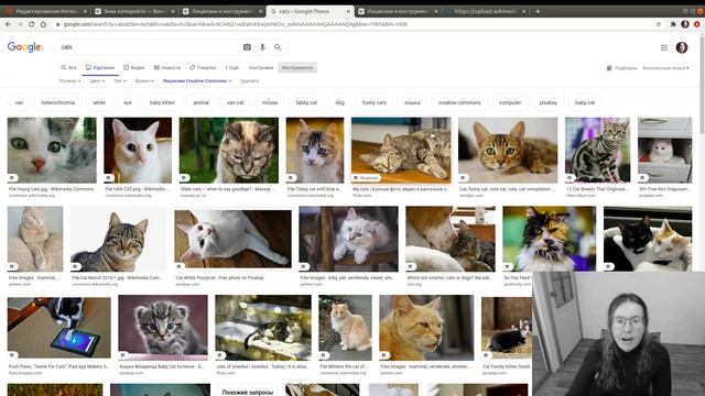 H5P 2020-10 Лицензии на изображения, про Creative Commons и поиск картинок смотреть онлайн