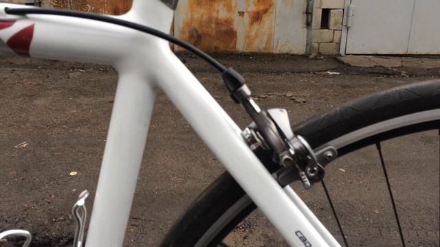 Red Bull Red Rose Pro SL смотреть онлайн