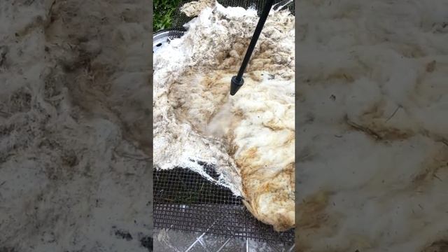 19 июля 2015 г. смотреть онлайн