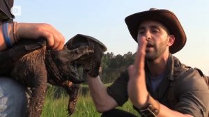 ГРИФОВАЯ ЧЕРЕПАХА против КАЙМАНОВОЙ ЧЕРЕПАХИ / Койот Питерсон на русском