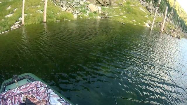 Вот это повезло Williams Wabler Щука на спиннинг Реальнаярыбалка