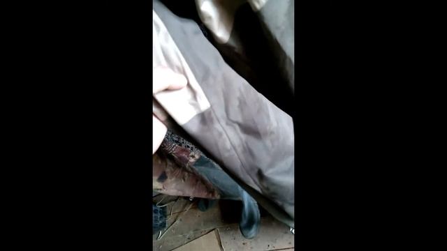 вейдерсы Neygu c алиэкспресс / the waders Neygu c aliexpress смотреть онлайн