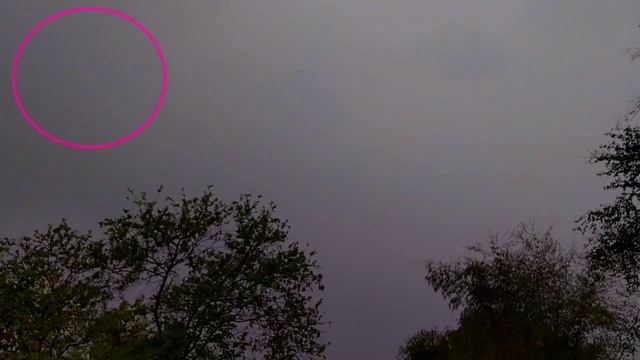 Asteroid 2023 DZ2 Caught On Camera ? Asteroid Video Live смотреть онлайн