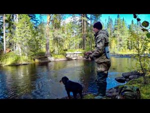 СЕВЕРНАЯ КАРЕЛИЯ | Рыбалка на реках Карелии. Рыбалка осенью на реке. Щука, хариус.