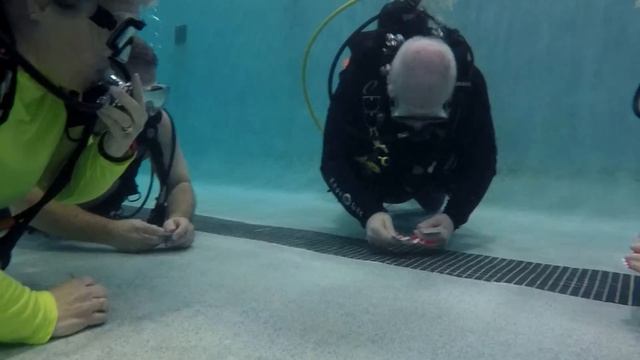 Poker with the Card Sharks смотреть онлайн