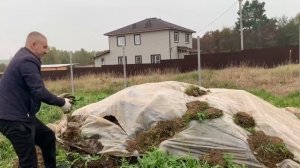 Пахота в Свал?, Трактор МтЗ-80 с плугом ПЛН 3-35Настройки , плуг пашет как поленейке,СССР красота.