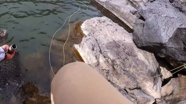 Gorgeous desert river filled with trophy trout | No one would expect this here смотреть онлайн