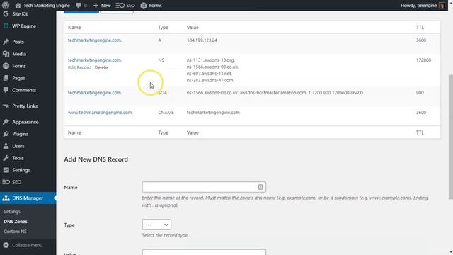 How to edit DNS settings inside your WordPress site with the DNS Manager plugin смотреть онлайн