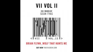 Brian Flinn - Wolf That Hunts Me