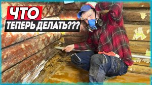 Такой КОШМАРА мы не ожидали в деревенском доме! Успел это закупить по старым ценам. Жизнь в деревне