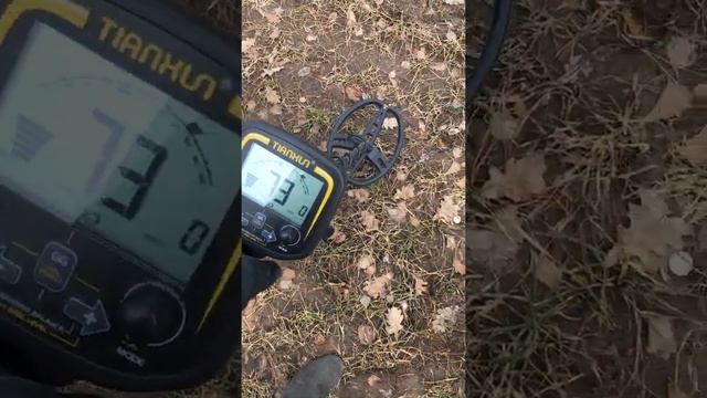 Про звук Metaldetector TX850 смотреть онлайн
